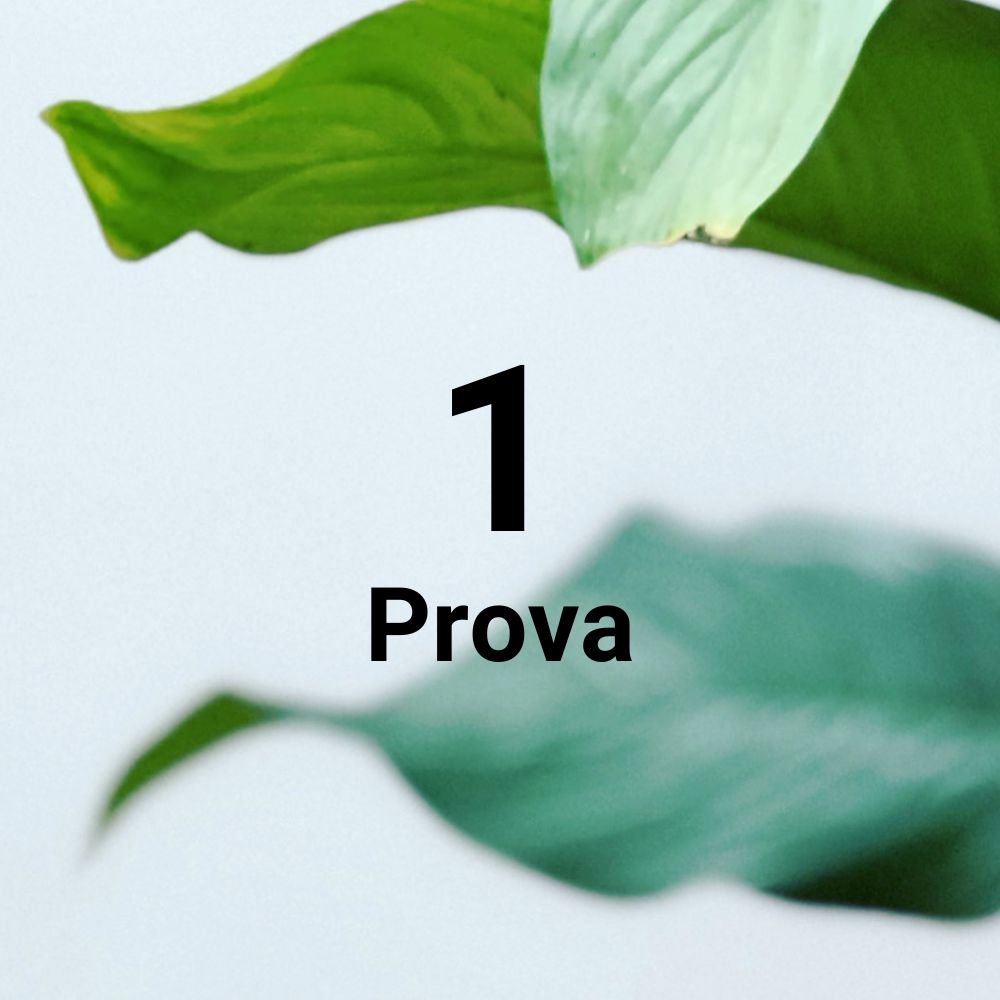 Yogainflow-1-lezione-yoga-gratuita