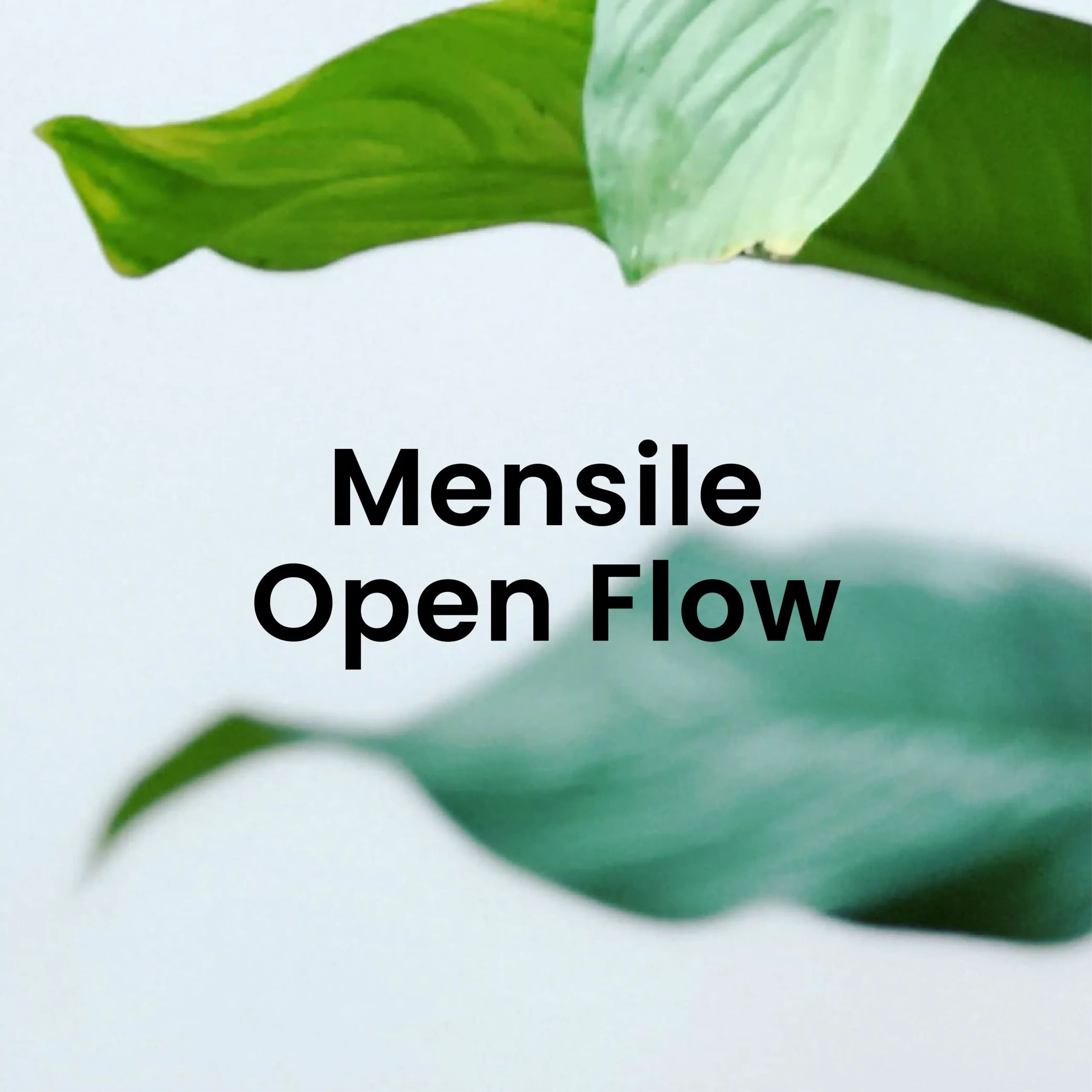 Yogainflow-lezioni-yoga-Open-Flow